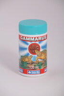 Gamarus pro želvy